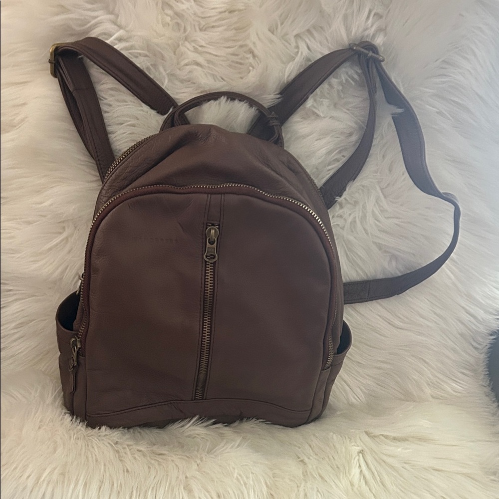 Elegant Brown Men's Backpack